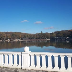 Санаторий Лесной в городе Железноводске - фотография