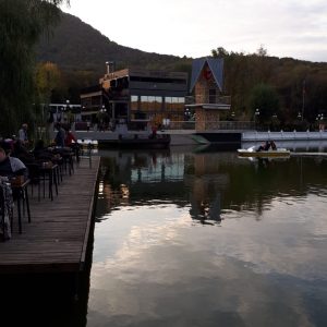 Санаторий Лесной в городе Железноводске - фотография