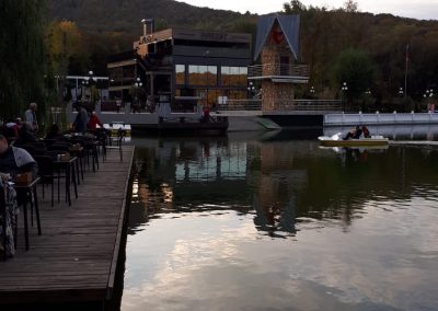 Санаторий Лесной в городе Железноводске - фотография