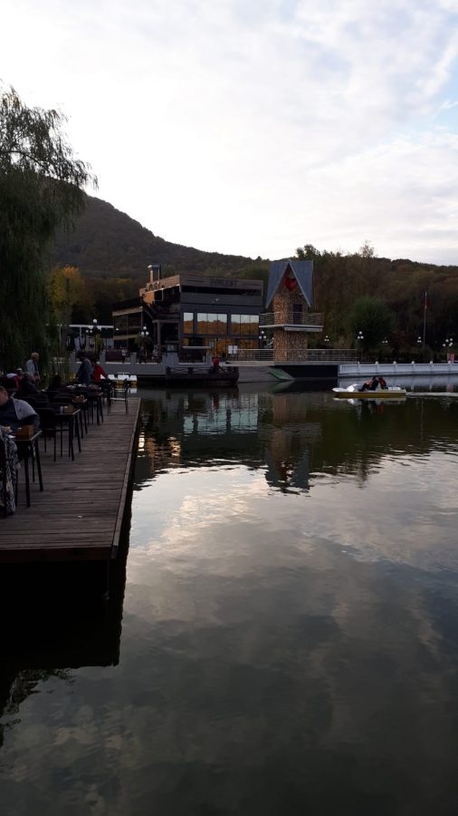 Санаторий Лесной в городе Железноводске - фотография