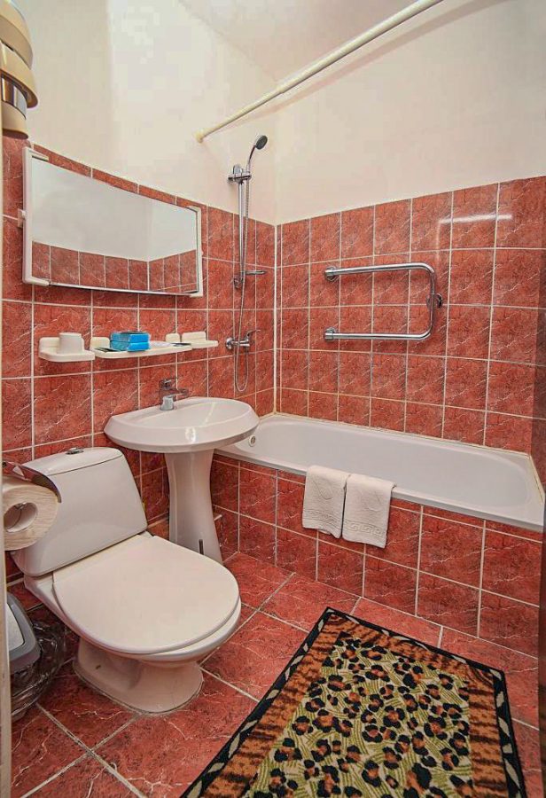 Двухкомнатный люкс в санатории Лесной в городе Железноводске - фотография