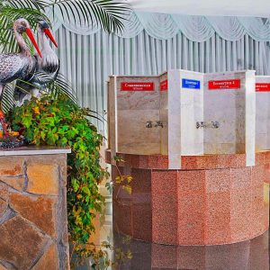 Бювет в санатории Лесной в городе Железноводске - фотография