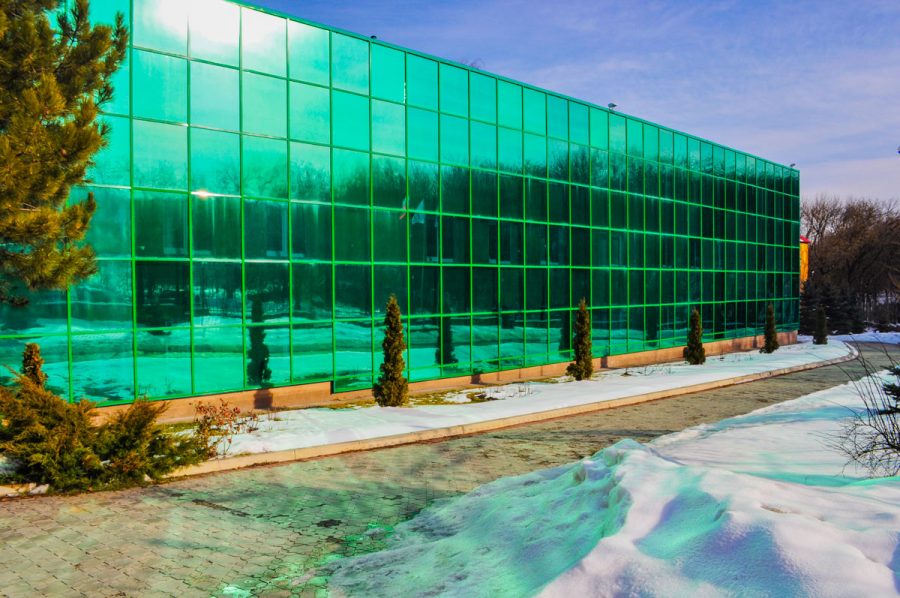 Санаторий Лесной в городе Железноводске - фотография