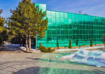 Санаторий Лесной в городе Железноводске - фотография