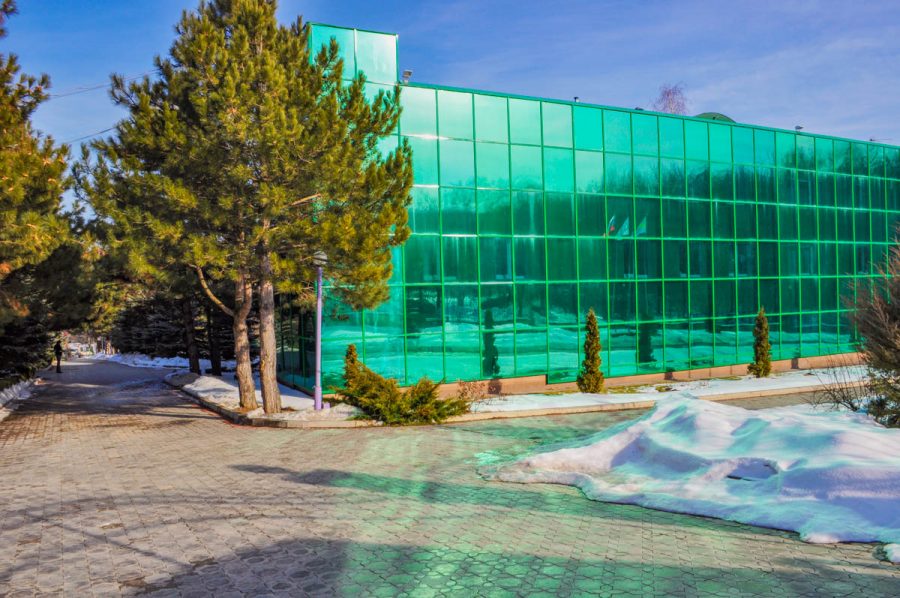 Санаторий Лесной в городе Железноводске - фотография