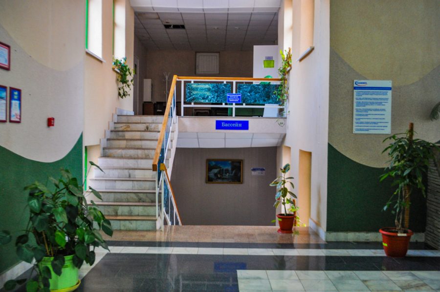 Лестница в санатории Лесной в городе Железноводске - фотография