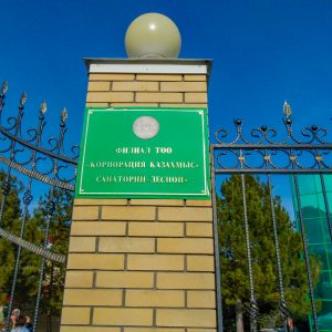 Территория в санатории Лесной в городе Железноводске - фотография