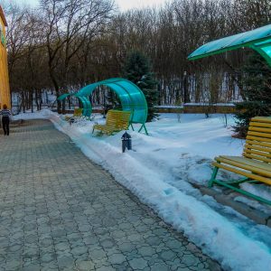 Территория в санатории Лесной в городе Железноводске - фотография