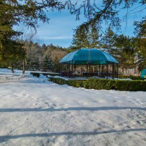 Территория в санатории Лесной в городе Железноводске - фотография