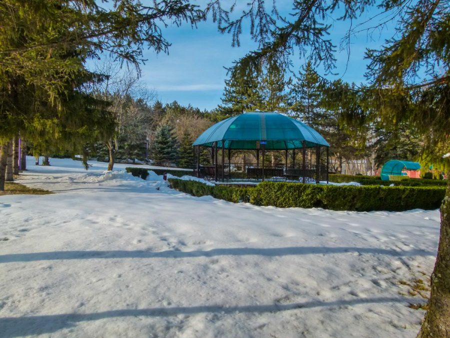 Территория в санатории Лесной в городе Железноводске - фотография
