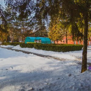 Территория в санатории Лесной в городе Железноводске - фотография