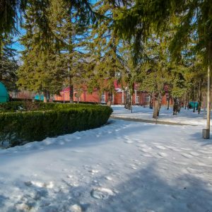 Территория в санатории Лесной в городе Железноводске - фотография