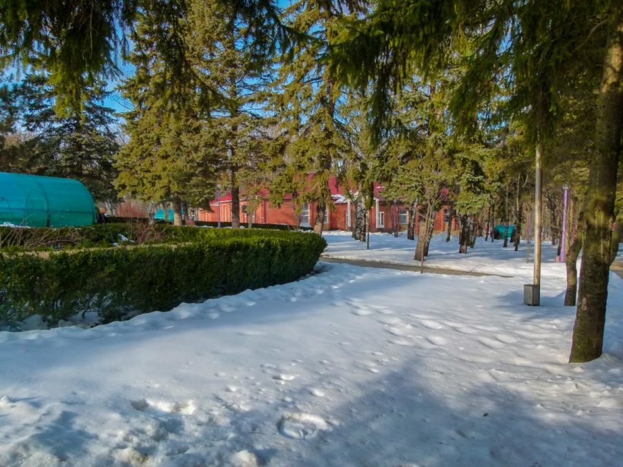 Территория в санатории Лесной в городе Железноводске - фотография