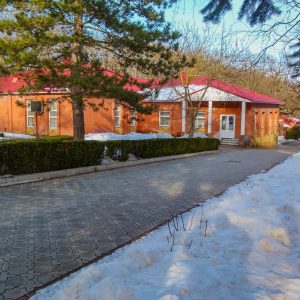 Территория в санатории Лесной в городе Железноводске - фотография