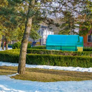 Территория в санатории Лесной в городе Железноводске - фотография