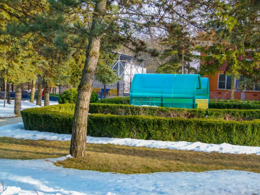 Территория в санатории Лесной в городе Железноводске - фотография