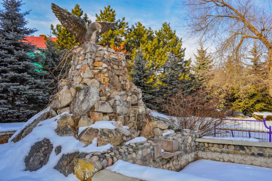 Территория в санатории Лесной в городе Железноводске - фотография