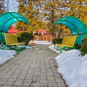 Территория в санатории Лесной в городе Железноводске - фотография