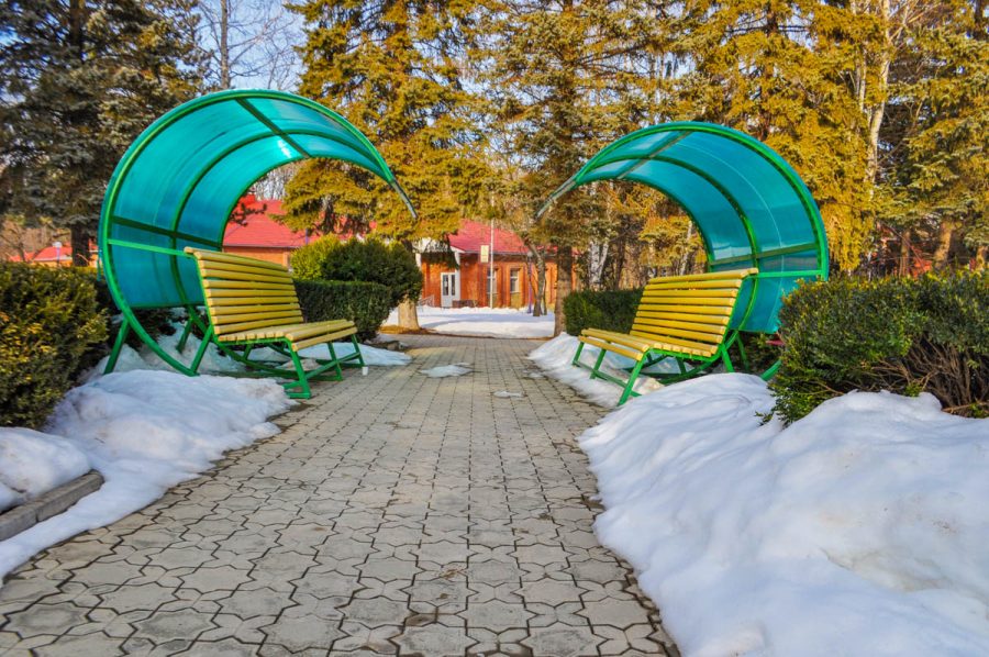 Территория в санатории Лесной в городе Железноводске - фотография