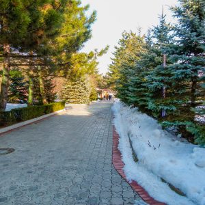 Территория в санатории Лесной в городе Железноводске - фотография