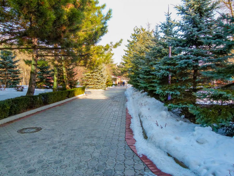 Территория в санатории Лесной в городе Железноводске - фотография