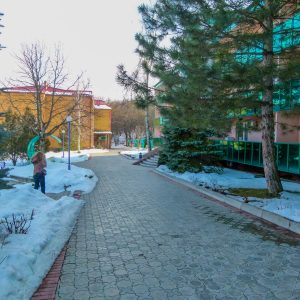 Территория в санатории Лесной в городе Железноводске - фотография