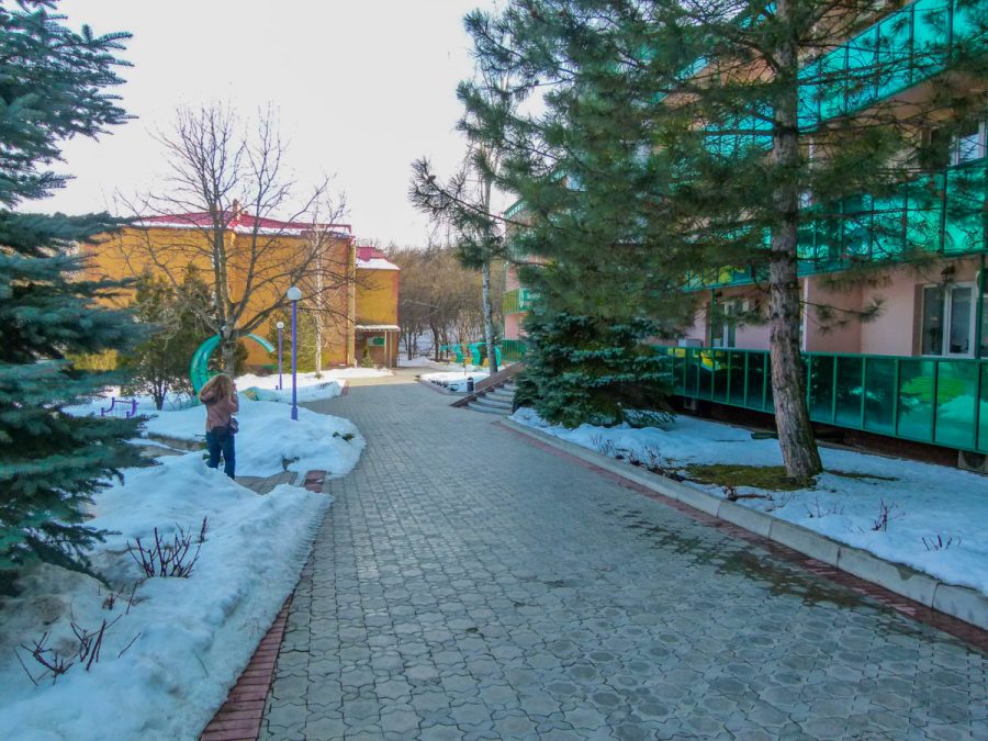 Территория в санатории Лесной в городе Железноводске - фотография