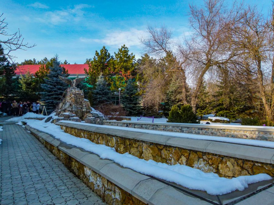 Территория в санатории Лесной в городе Железноводске - фотография