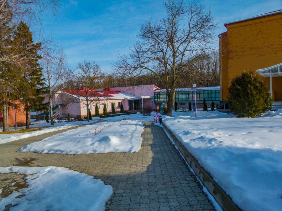 Территория в санатории Лесной в городе Железноводске - фотография