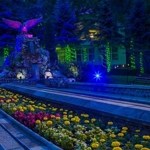 Территория в санатории Лесной в городе Железноводске - фотография