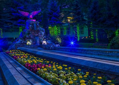 Территория в санатории Лесной в городе Железноводске - фотография