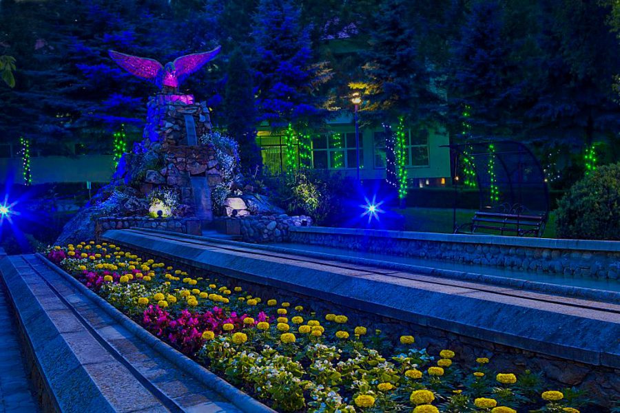 Территория в санатории Лесной в городе Железноводске - фотография