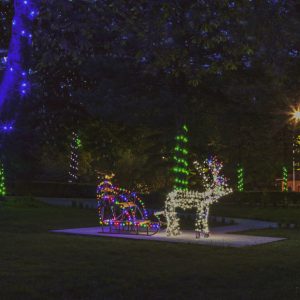 Территория в санатории Лесной в городе Железноводске - фотография