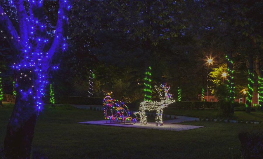 Территория в санатории Лесной в городе Железноводске - фотография