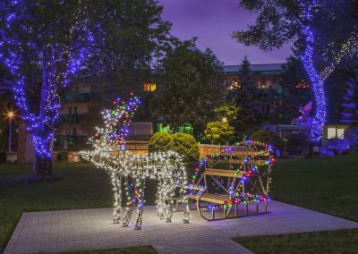 Территория в санатории Лесной в городе Железноводске - фотография
