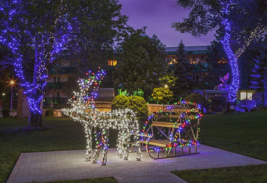 Территория в санатории Лесной в городе Железноводске - фотография