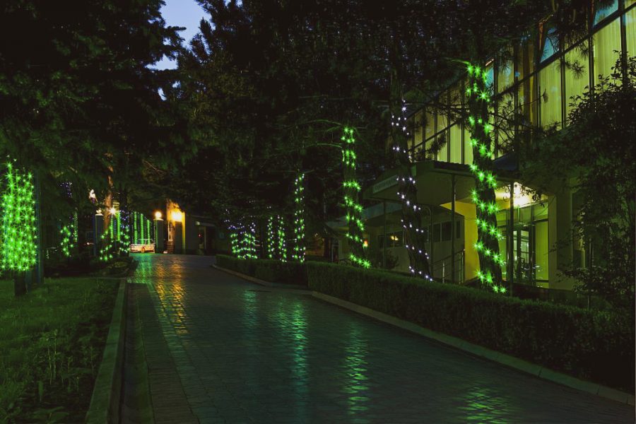 Территория в санатории Лесной в городе Железноводске - фотография