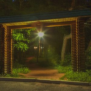 Территория в санатории Лесной в городе Железноводске - фотография