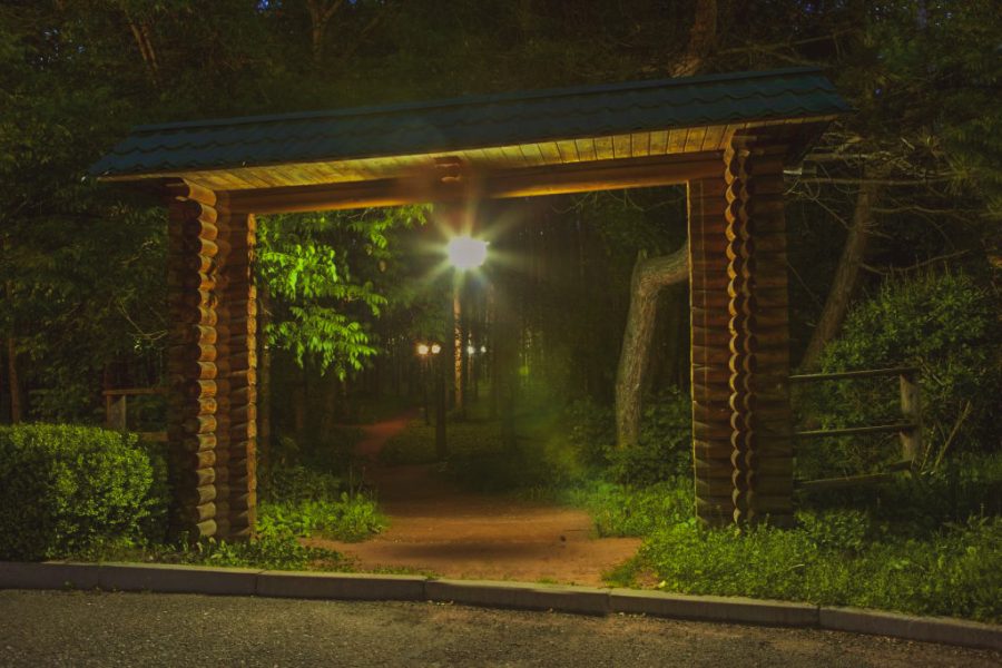 Территория в санатории Лесной в городе Железноводске - фотография