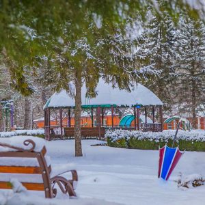 Территория в санатории Лесной в городе Железноводске - фотография
