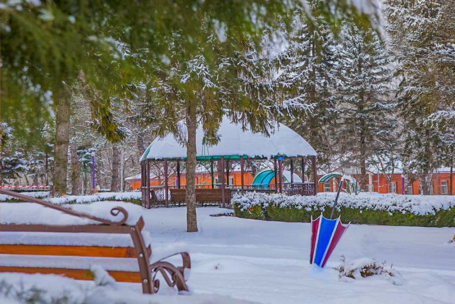 Территория в санатории Лесной в городе Железноводске - фотография