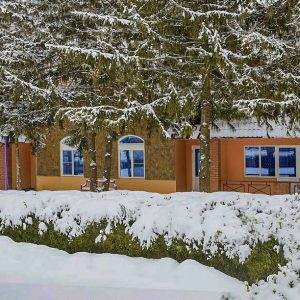 Территория в санатории Лесной в городе Железноводске - фотография