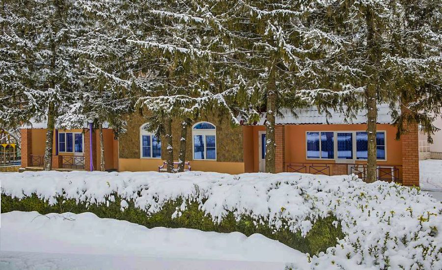 Территория в санатории Лесной в городе Железноводске - фотография