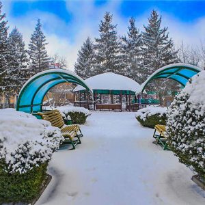 Территория в санатории Лесной в городе Железноводске - фотография