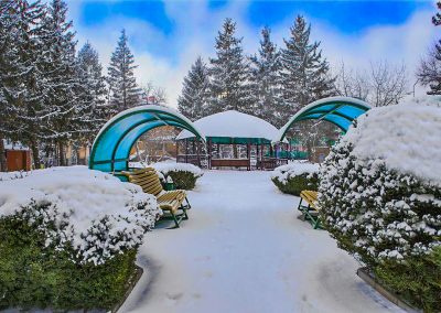 Территория в санатории Лесной в городе Железноводске - фотография