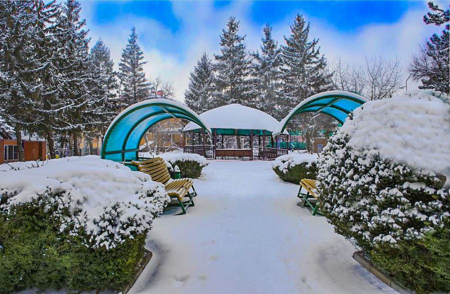 Территория в санатории Лесной в городе Железноводске - фотография