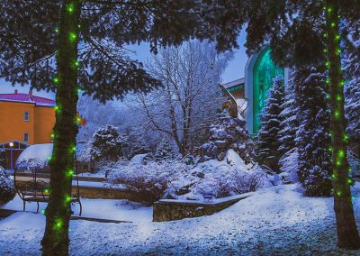 Территория в санатории Лесной в городе Железноводске - фотография