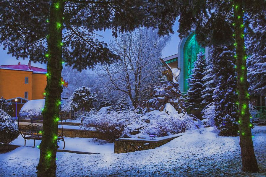 Территория в санатории Лесной в городе Железноводске - фотография