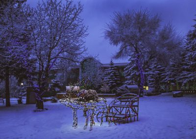 Территория в санатории Лесной в городе Железноводске - фотография