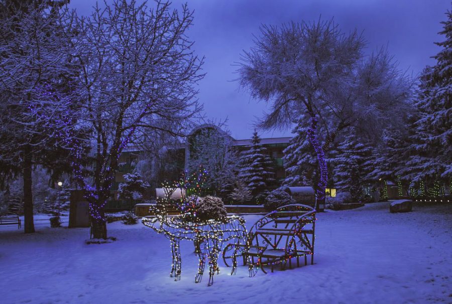 Территория в санатории Лесной в городе Железноводске - фотография
